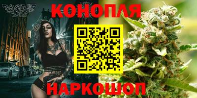 spice Нальчик