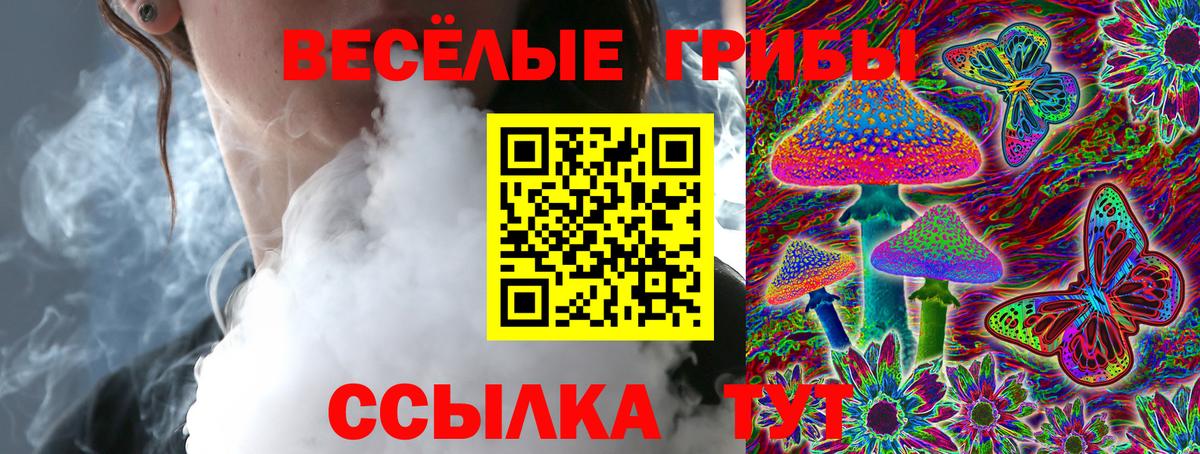 Галлюциногенные грибы Psilocybe  купить наркоту  Урюпинск  Вход с VPN 